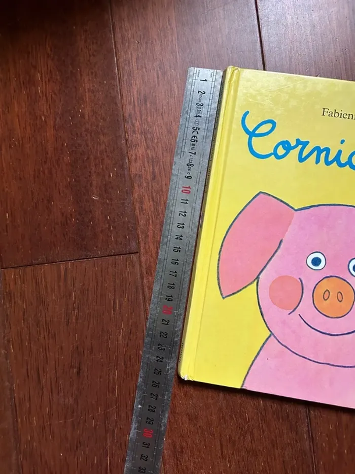 Cornicochon livre enfant - photo numéro 10