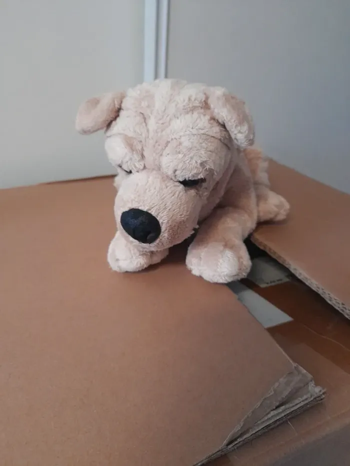 Peluche chien - photo numéro 4