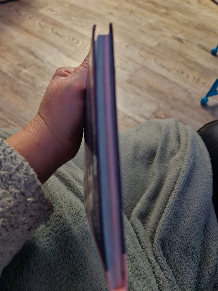 Livre  enchantimals au secours de Felicity - photo numéro 6