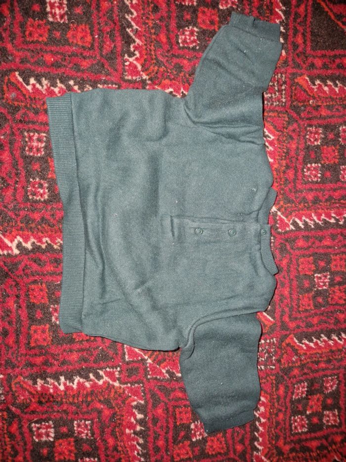 Sweat loup 6M - photo numéro 3