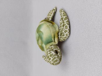 Peluche doudou tortue verte 20 cm DELUXEBASE