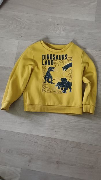 Pull garçon 