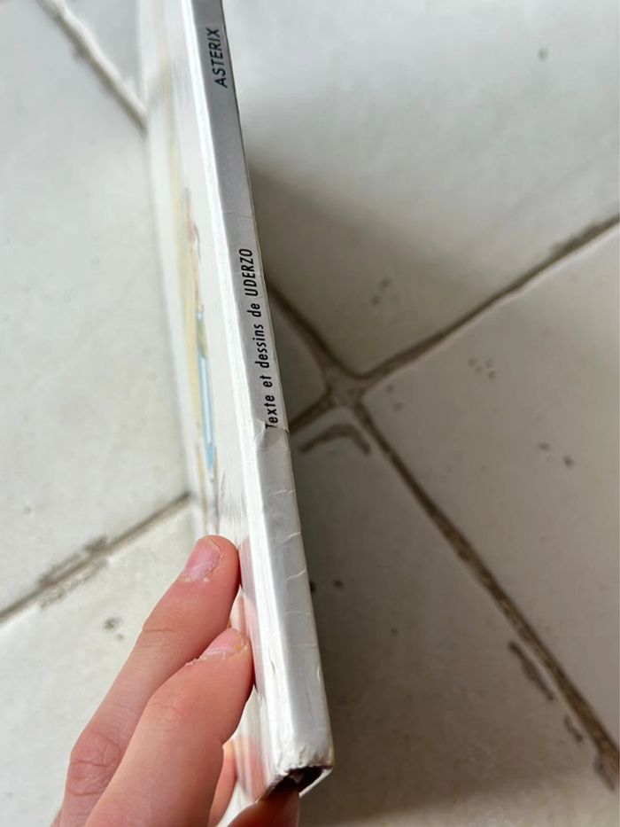 Bande dessinée " Astérix chez Rahazade " - photo numéro 7