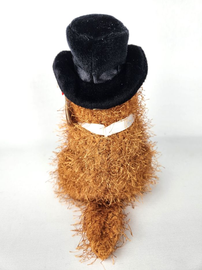 Peluche Ty Beanie Baby - Punxsutawney Phil - 2005 - Collector - photo numéro 3