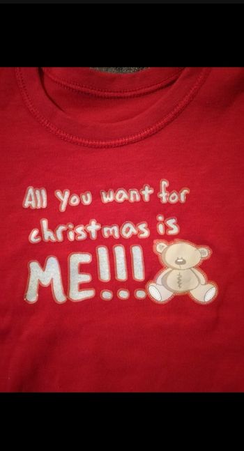 Jolie bodie St. Bernard