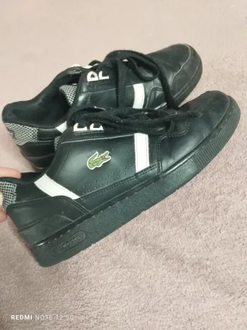Baskets Lacoste pointure 37