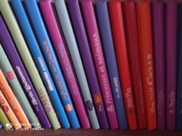 Livres Disney - photo numéro 2