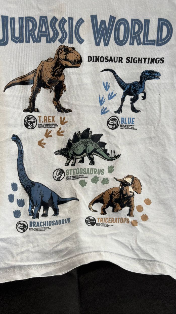 Tee shirt - photo numéro 2