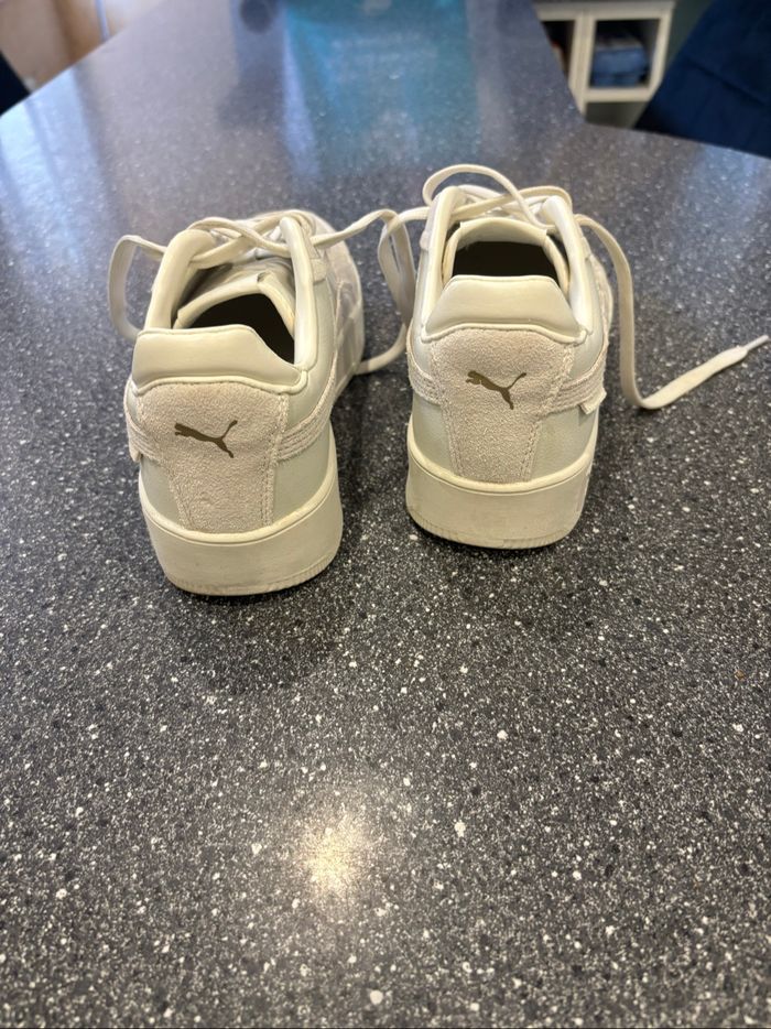 Puma Carina - photo numéro 4