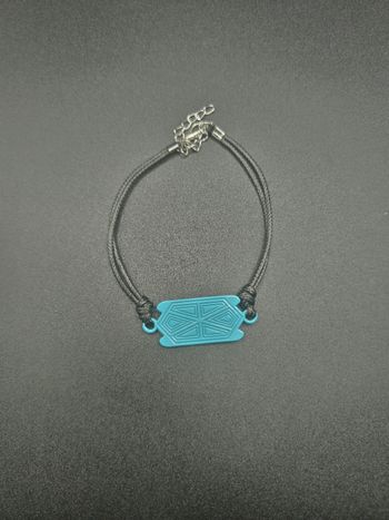 Bijou Miraculous de la tortue – univers Ladybug (livre)