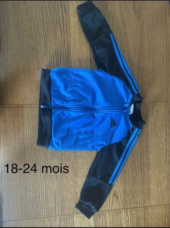Veste