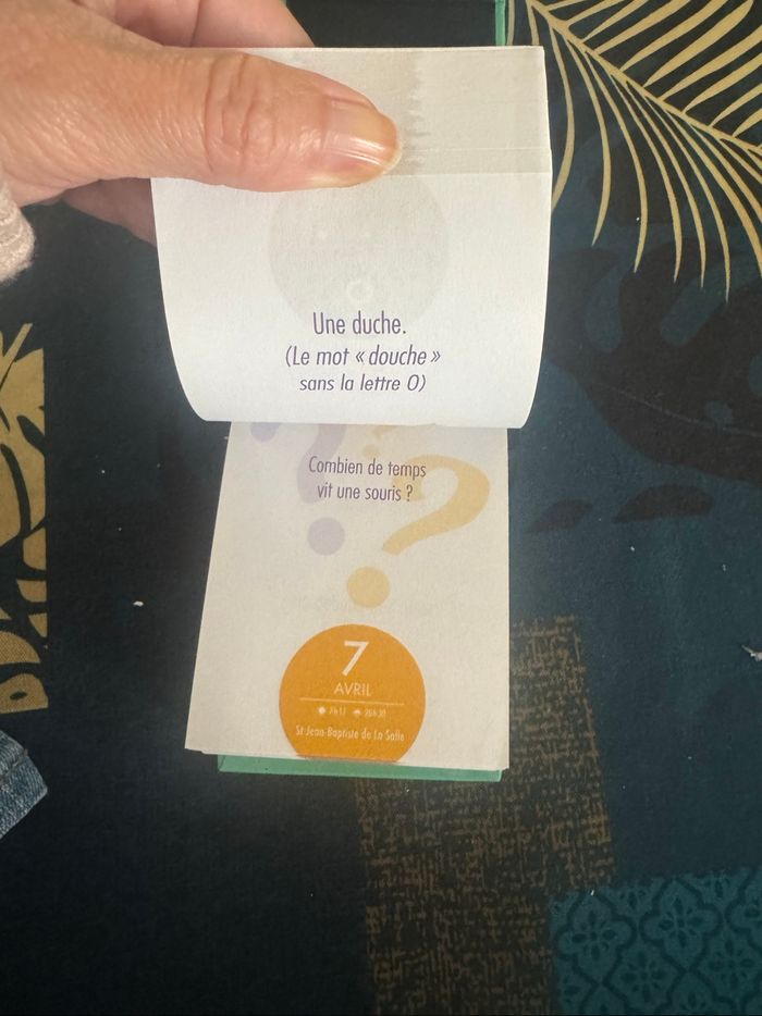 Une devinette par jour - photo numéro 3
