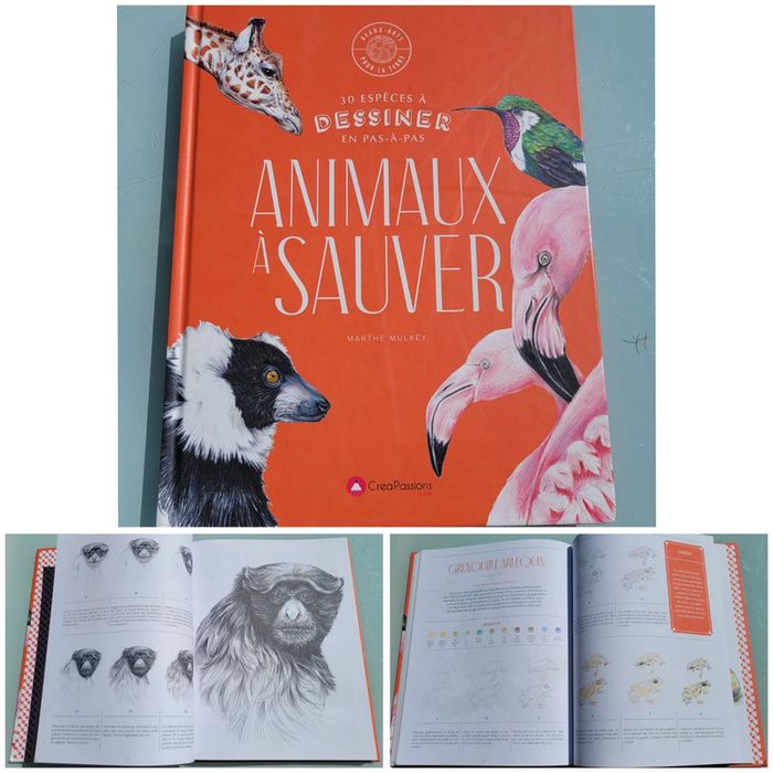 Livre 30 espèces à dessiner en pas-à-pas 🦩 Animaux à sauver 🦒 Beaux-Arts pour la terre (72)