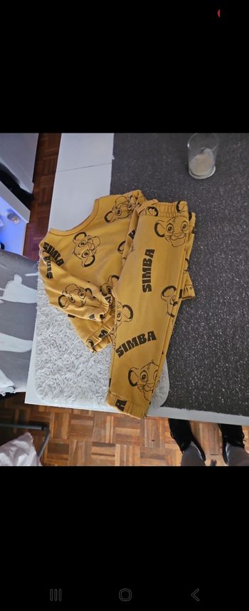 Ensemble roi lion 🦁