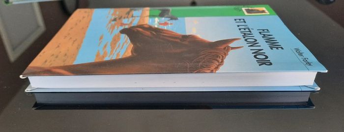 Livre bibliothèque verte - photo numéro 3