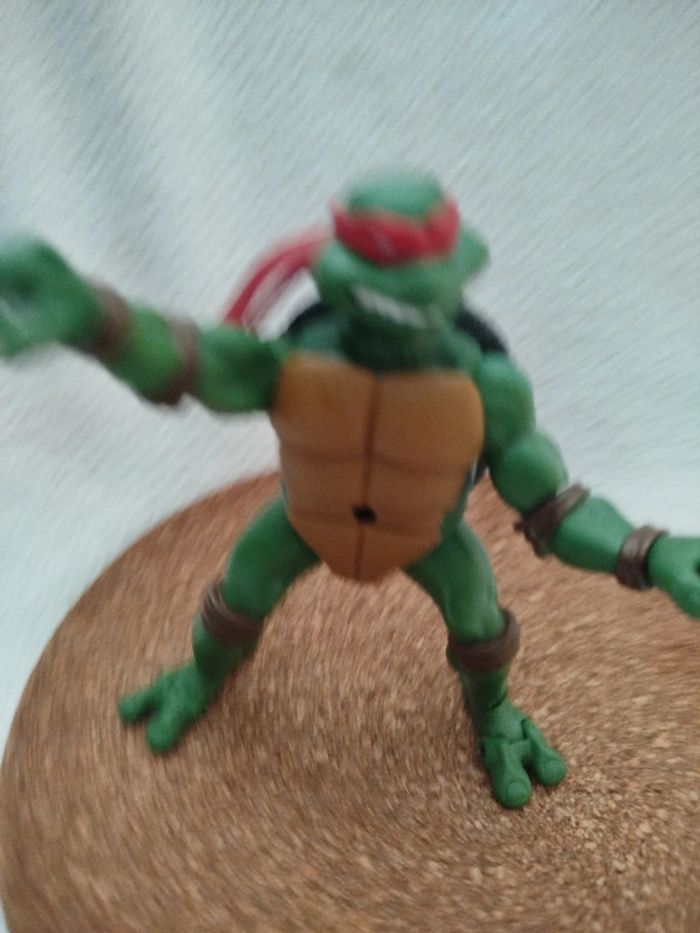 Tortue Ninja 2003 - photo numéro 3