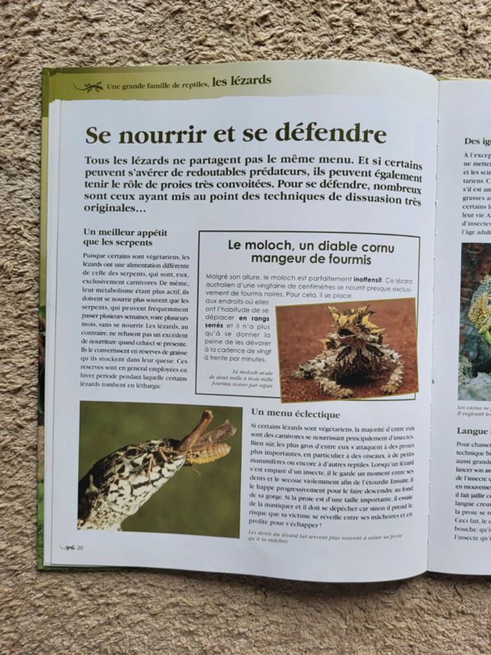 Livre documentaire enfant Une grande famille de reptiles, les lézards Atlas Junior des Animaux - photo numéro 9