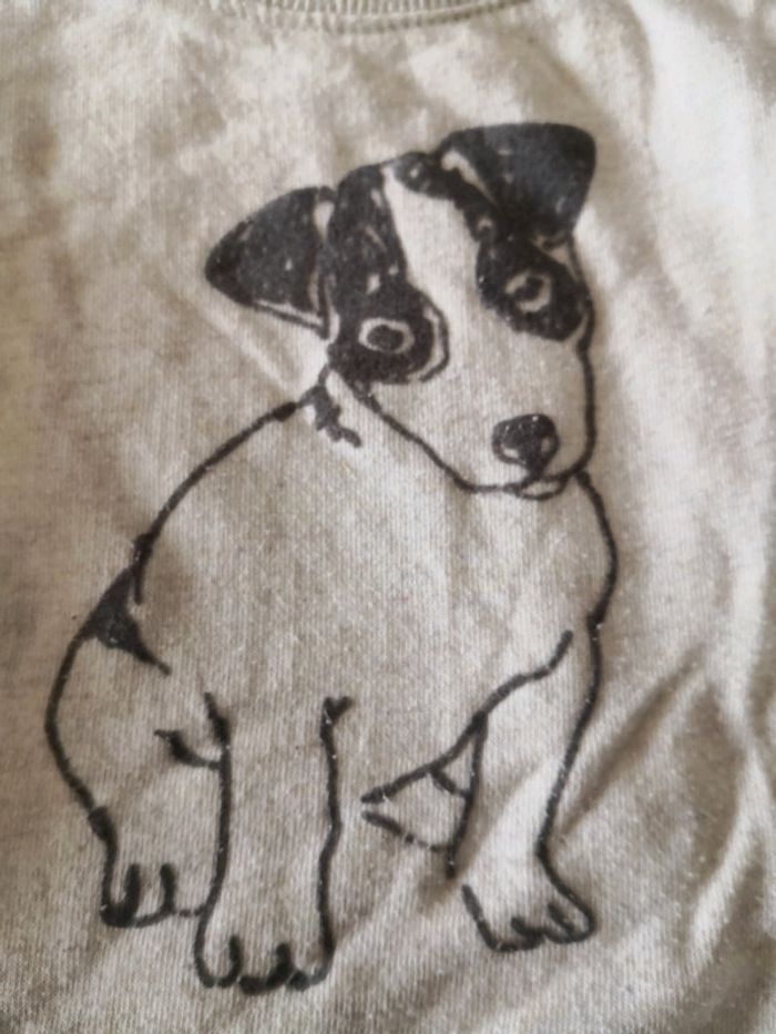 Pull chien - photo numéro 2