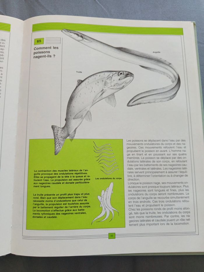 Livre sur la nature - photo numéro 3