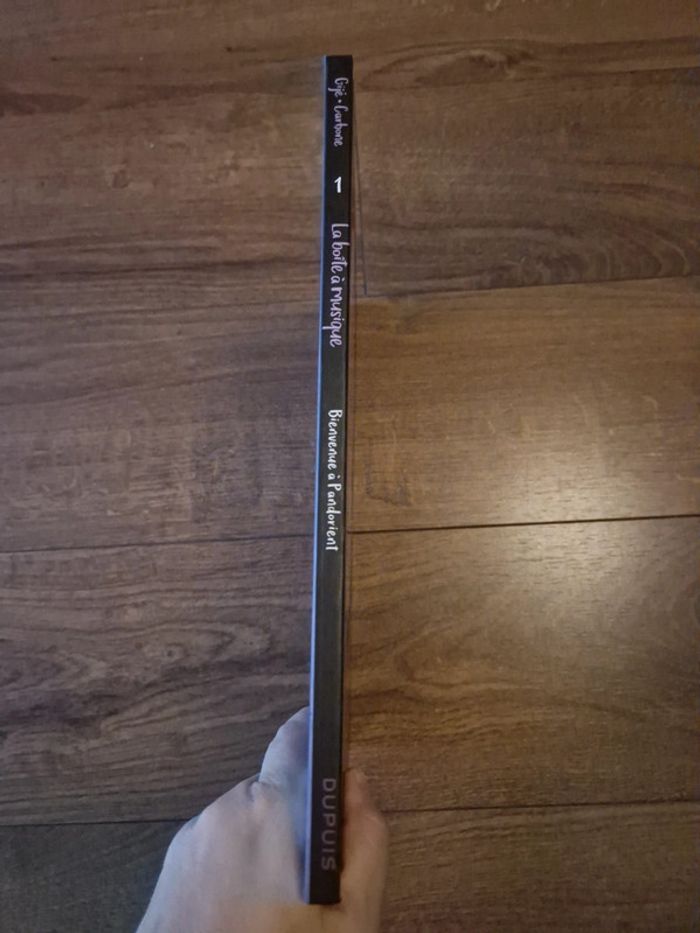 Bande dessinée La boîte à musique - photo numéro 2