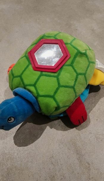 Livre en tissus tortue