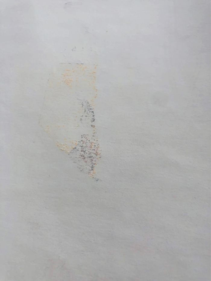 Amazones century - photo numéro 8