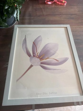 Tableau de décoration murale crocus