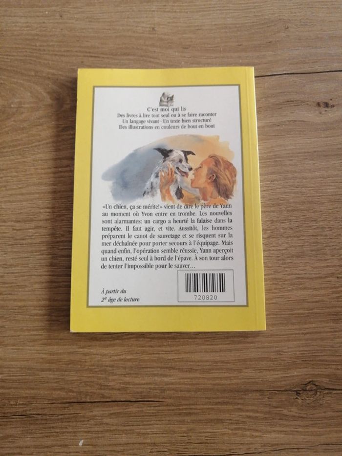 Roman un chien à la mer - photo numéro 2