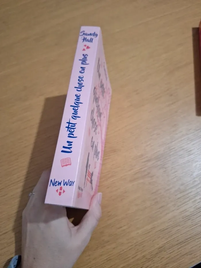Un petit quelque chose en plus - photo numéro 2