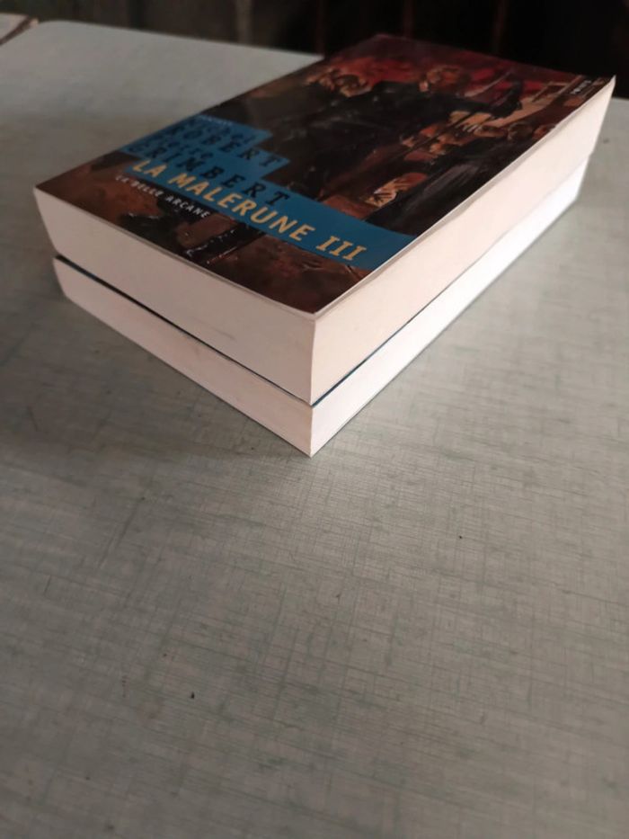 Lot 2 livres la malerune 2 et 3 - photo numéro 3