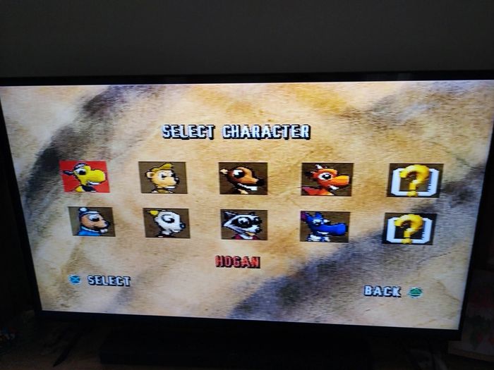 Jeu ps1 atv racers - photo numéro 7