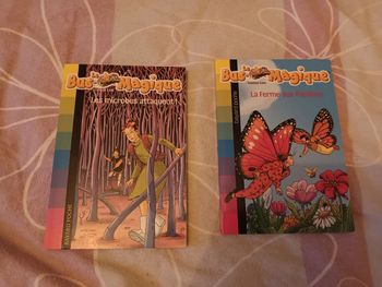 Lot de 2 livres le bus magique