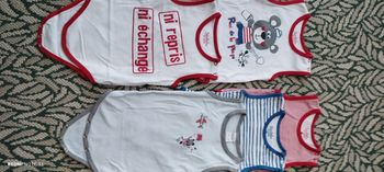 Lot 5 bodies 12mois