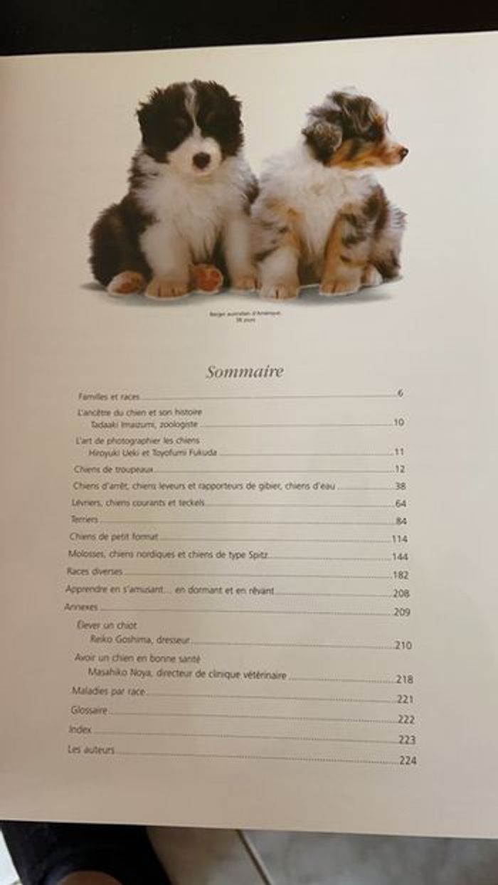 Les chiens et leurs petits - photo numéro 3