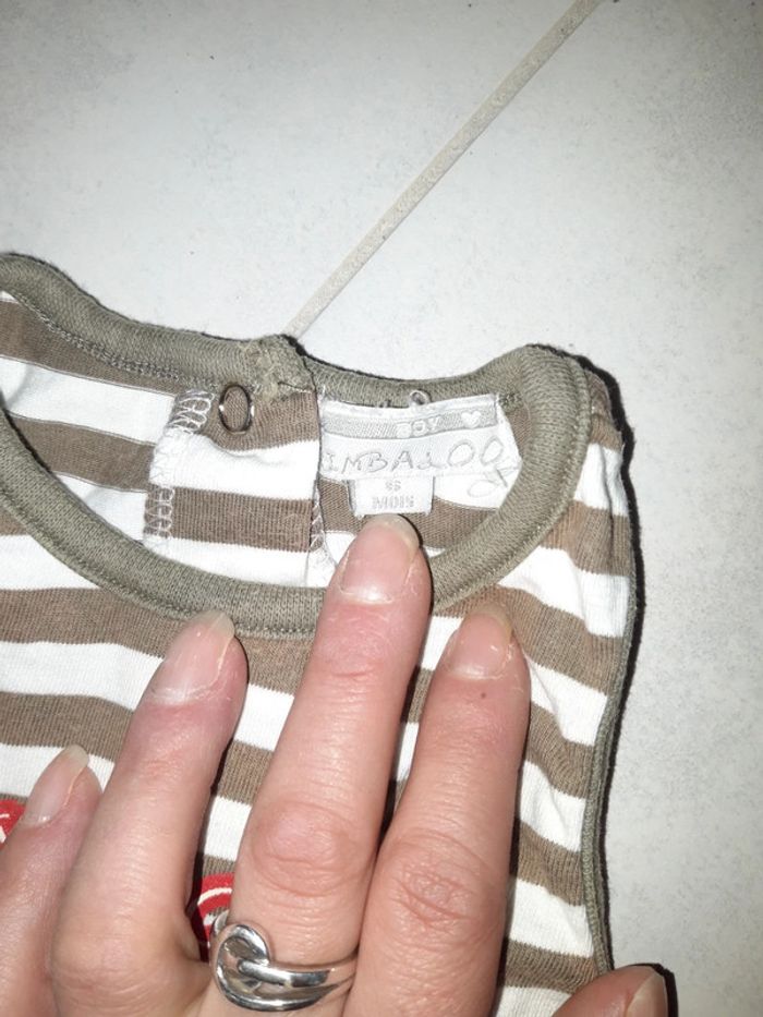 Grenouillaire - photo numéro 4