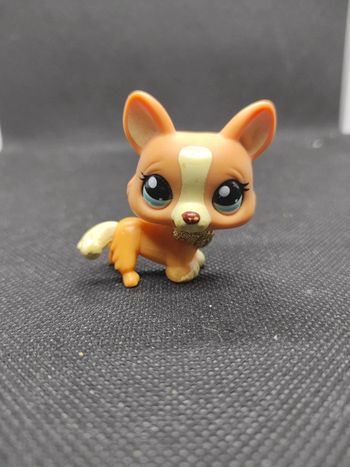 Little Petshop LPS chien corgi hasbro 2220 dog #geektradelpschien