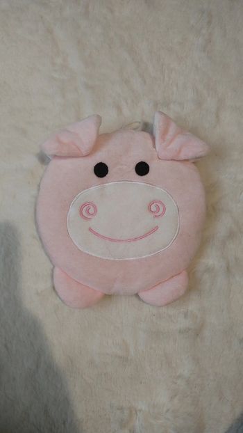 Petit coussin au micro onde chauffant intérieur noyau de cerise règle douloureuse