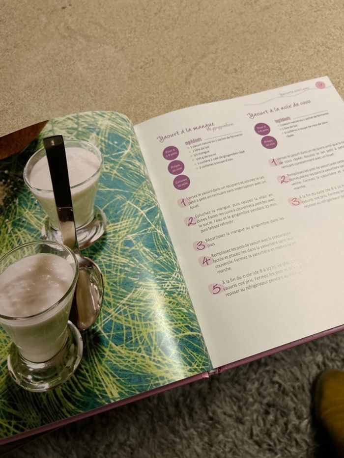 Livre recettes de yaourts et et crèmes - photo numéro 7