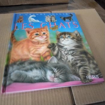 Les chats La grande imagerie Fleurus
