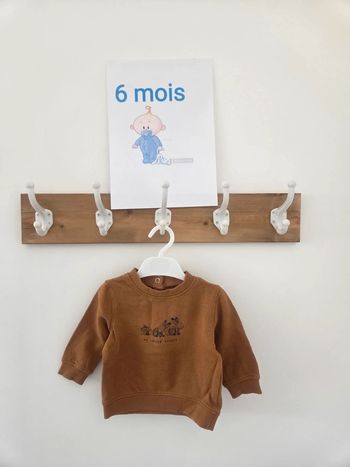 Pull 6m lapins