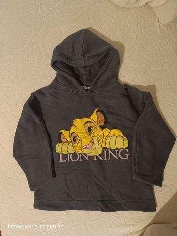 Sweat roi lion