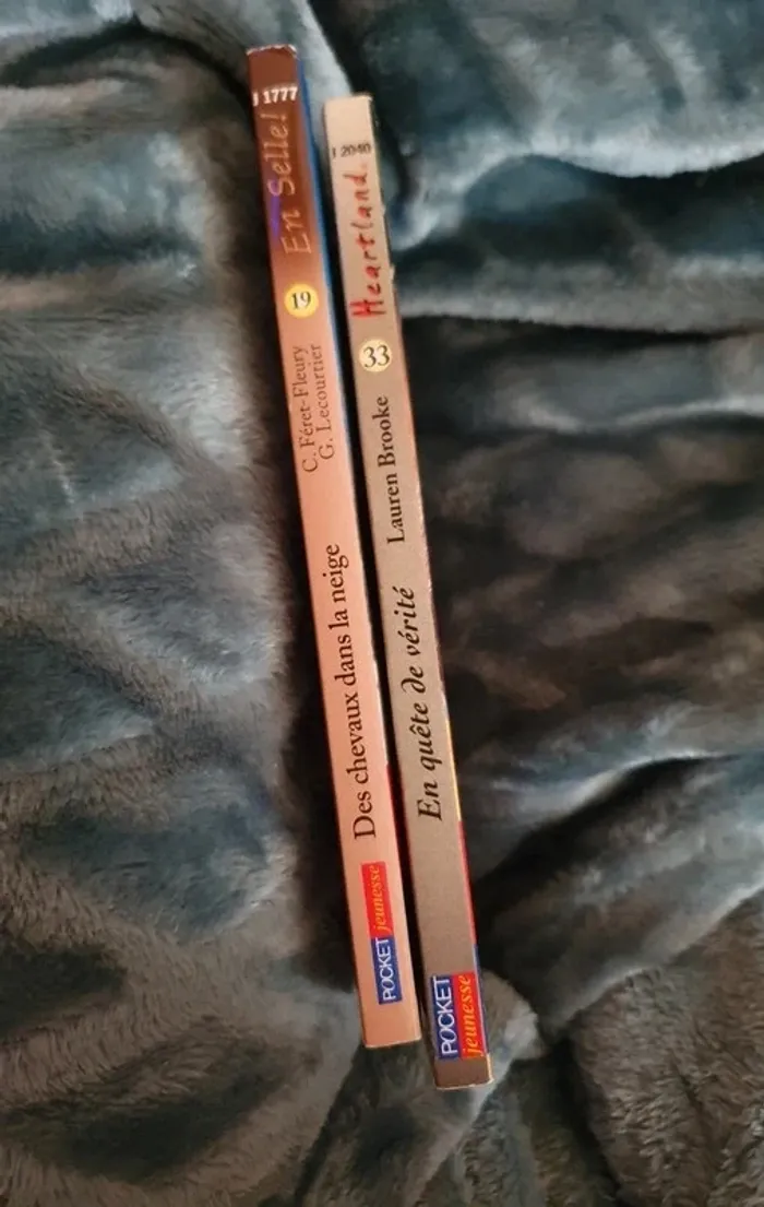 Lot 2 Livres pocket jeunesse - photo numéro 3