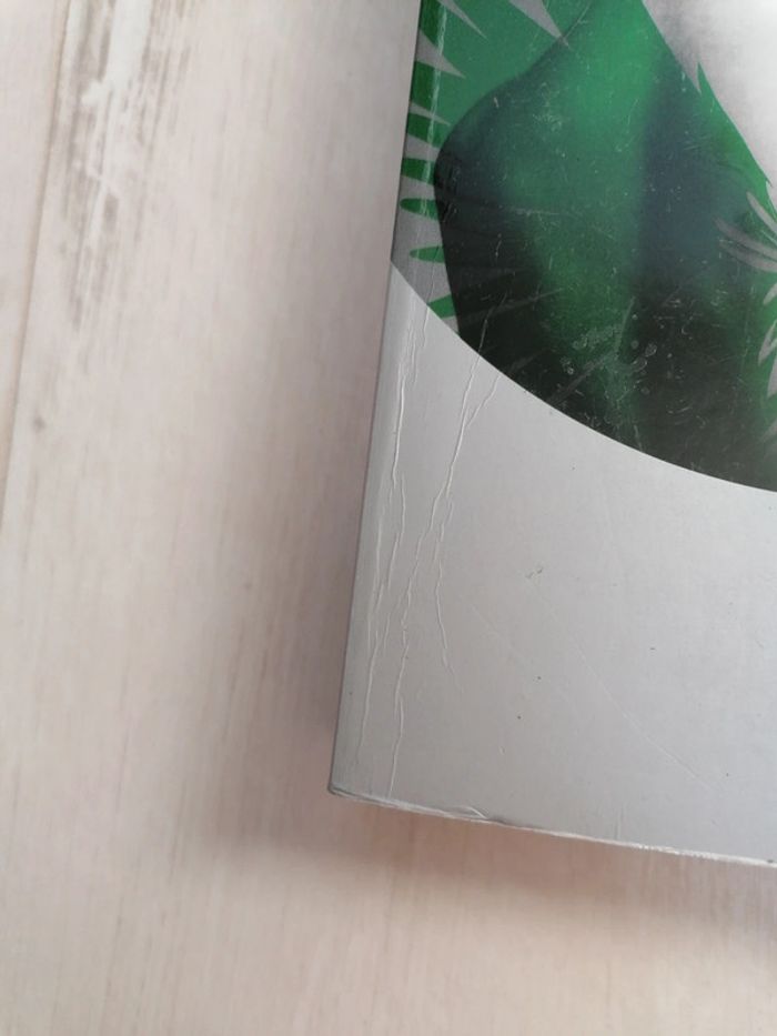 Tome 1 Roman les Ailes d'émeraude - photo numéro 3