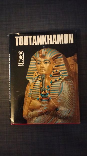 Livre toutankhamon