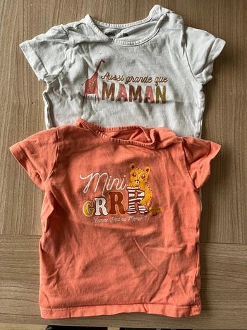 2 tees shirts