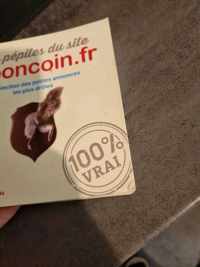 Livre les pepites du site leboncoin - photo numéro 5