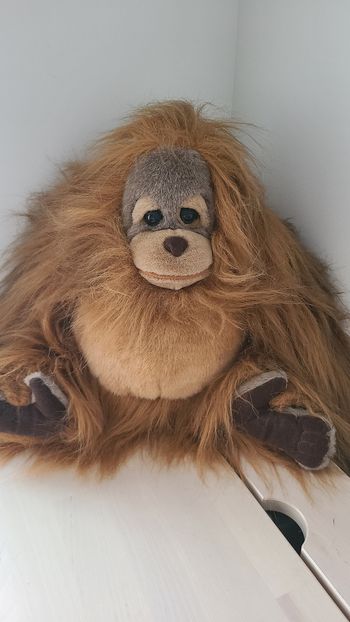 Peluche orang outan