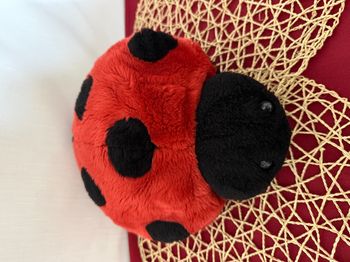 Peluche coccinelle