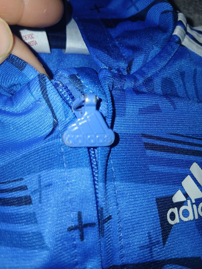 Ensemble - photo numéro 5