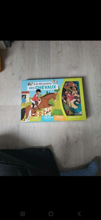 Découverte des chevaux